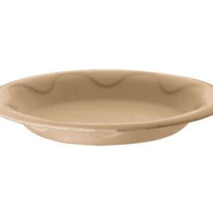 Plato de espuma Biodegradable Paq. 20 unidades