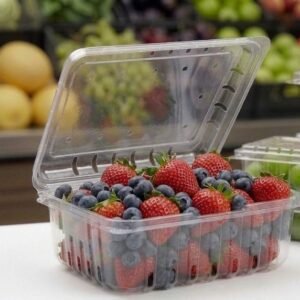 Bandeja Estuche para Frutas y Vegetales